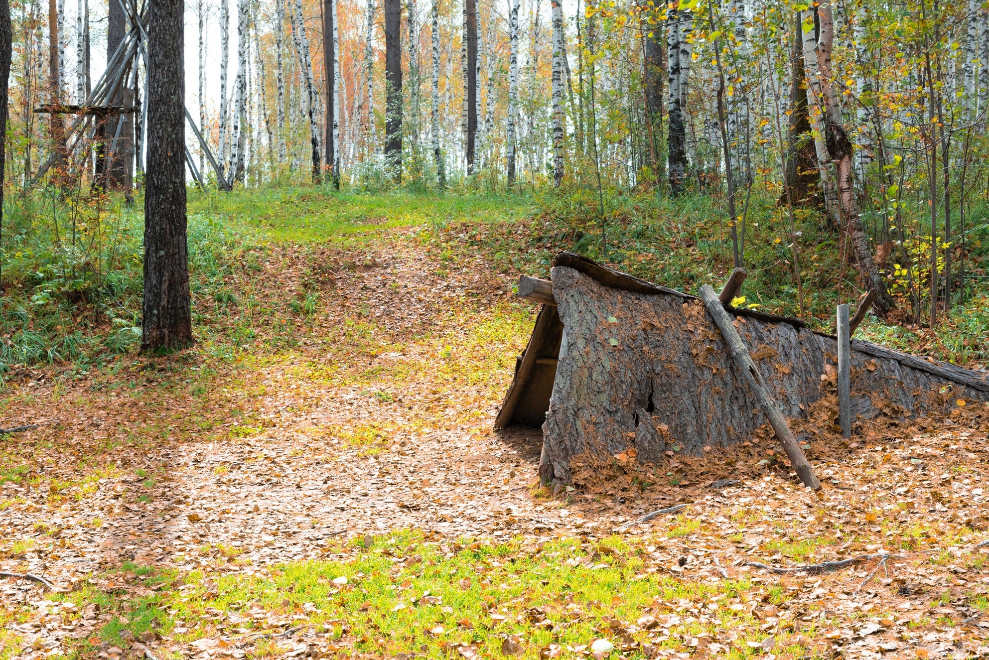 Tent in forest